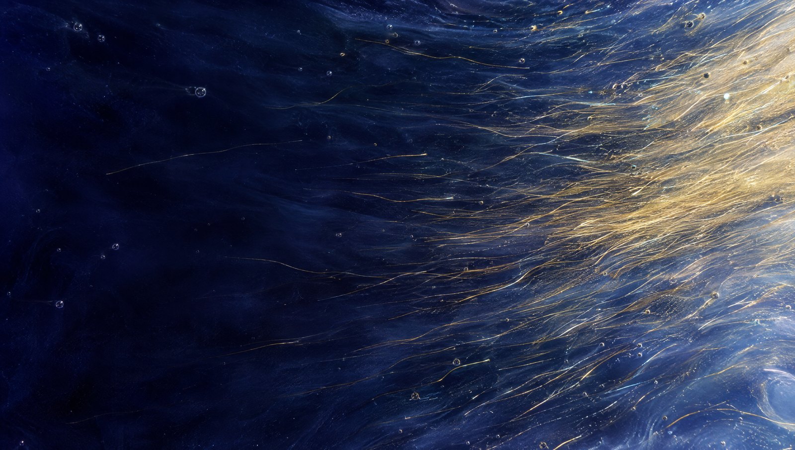 Fine gold threads leaning one way through deep blue water