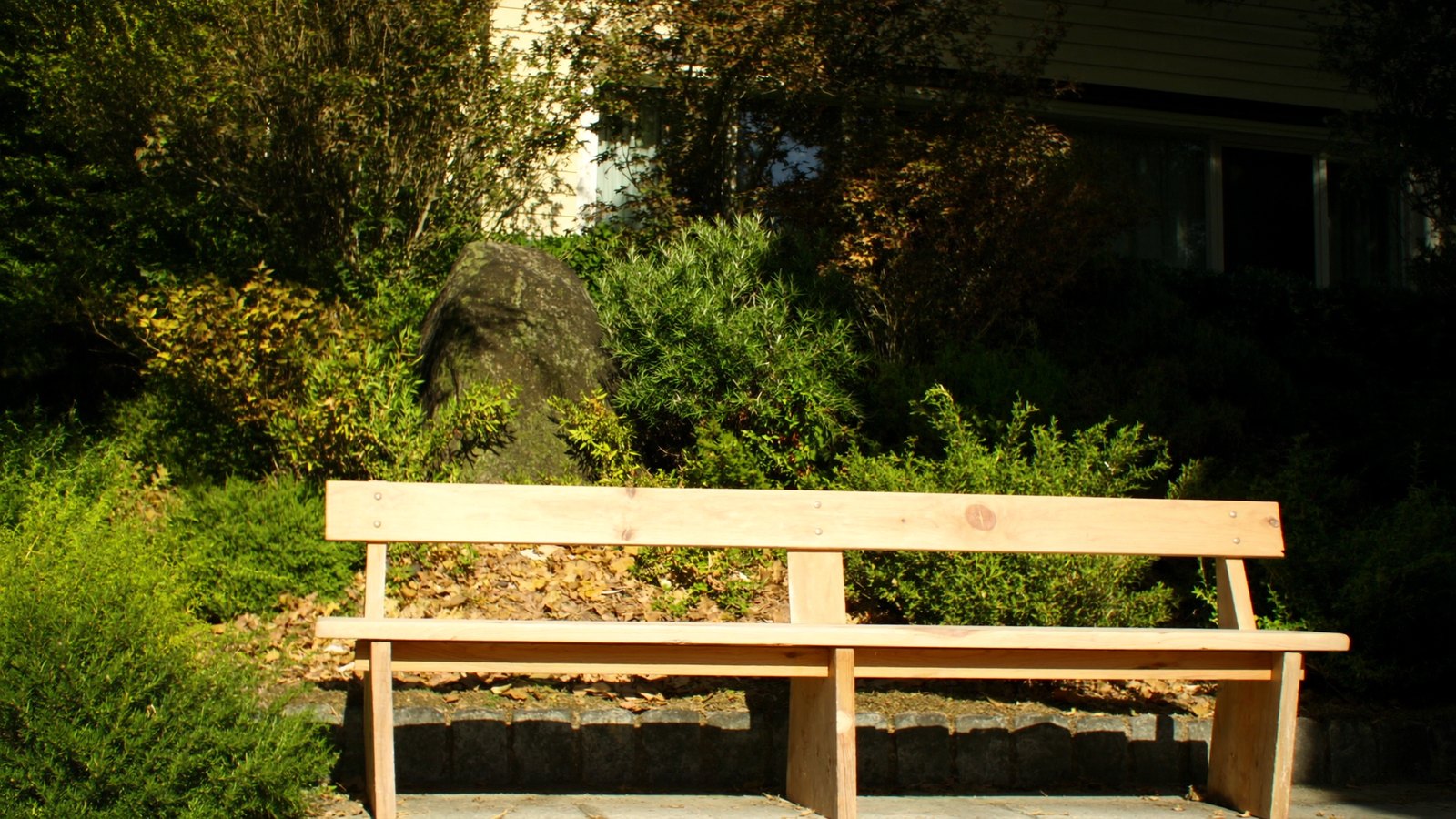 a wide picture, 16:9