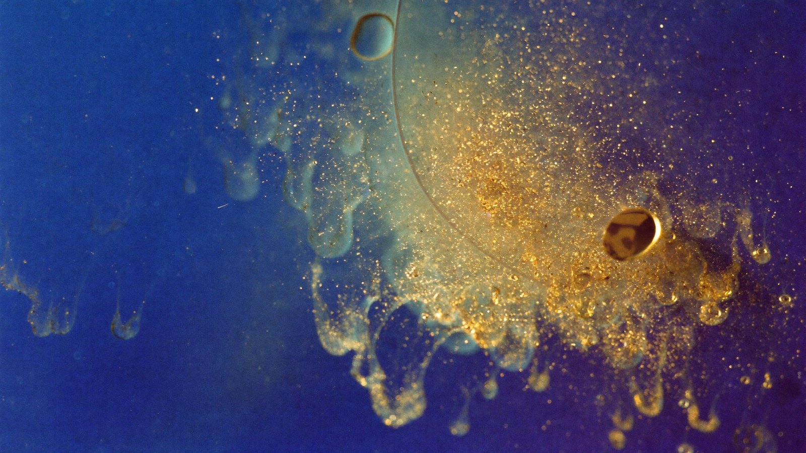 the contact page's picture, 16:10